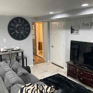 Mini Basement Suite