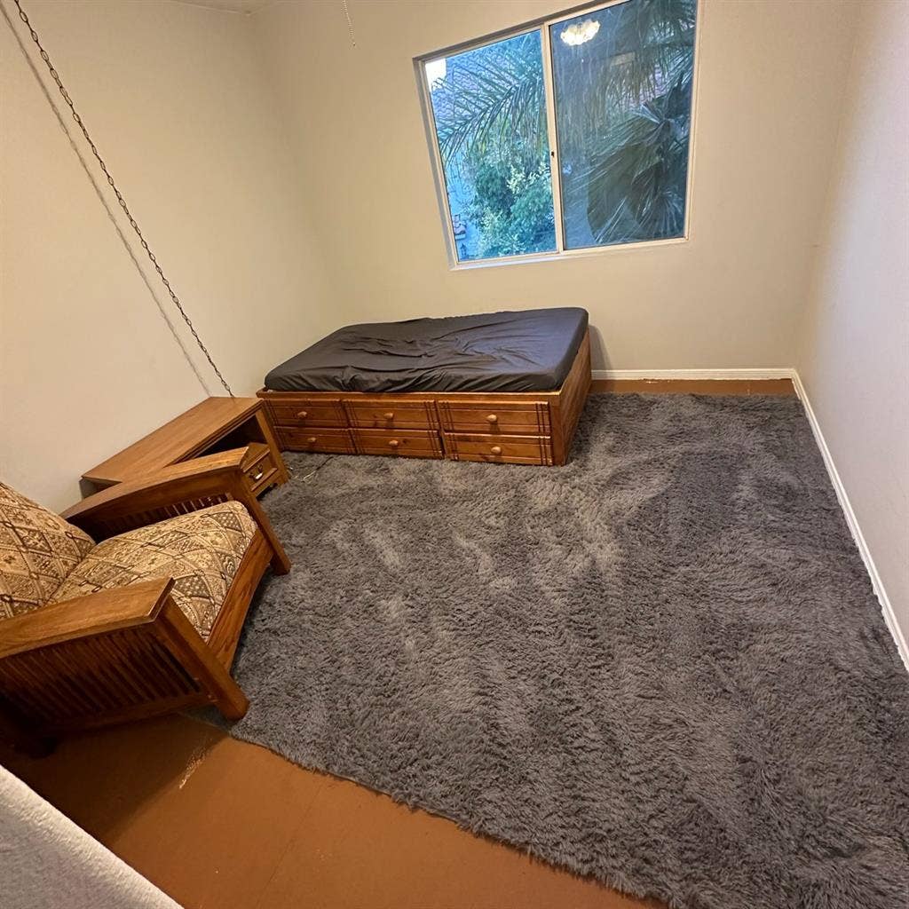 Looking for a roommate!