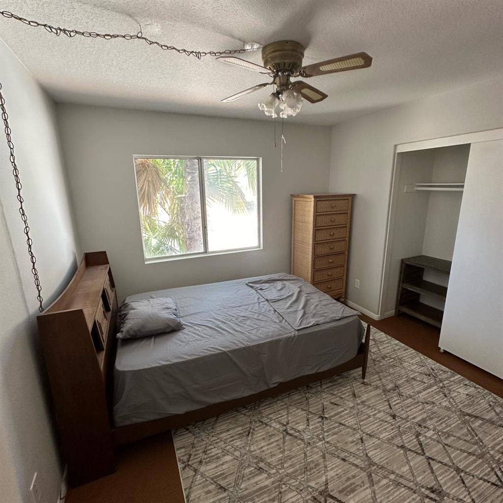 Looking for a roommate!