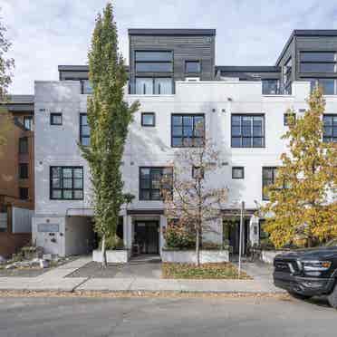 Spacious Lower Mount Royal Condo