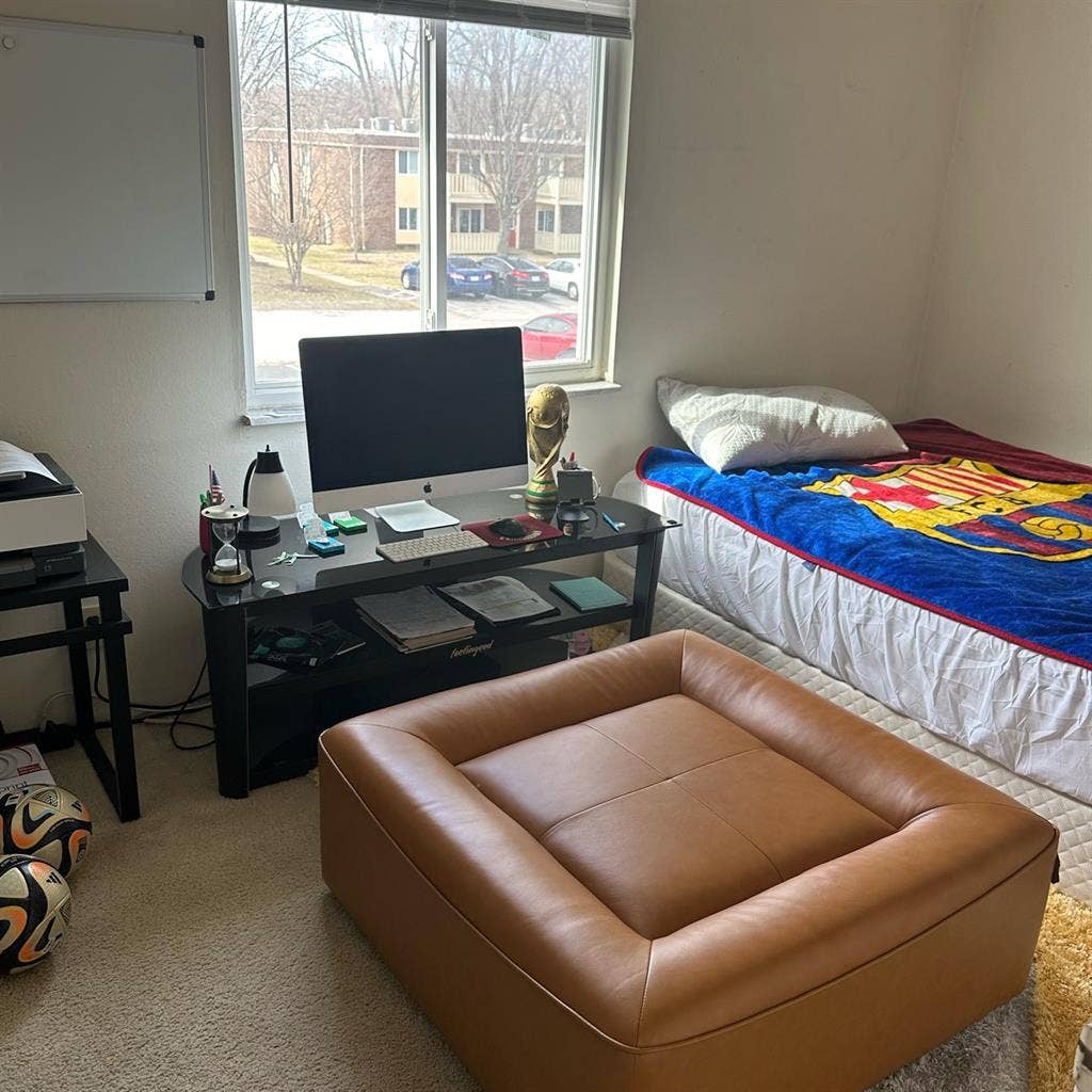 Looking for a roommate