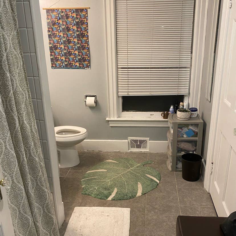 Roommate needed! Park Ave area