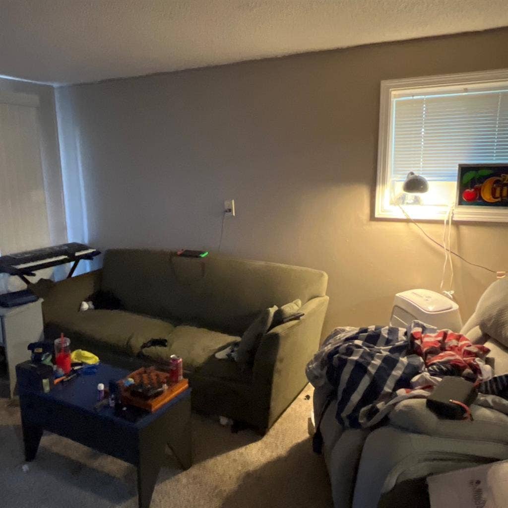 Room in Cheney for anyone roommates