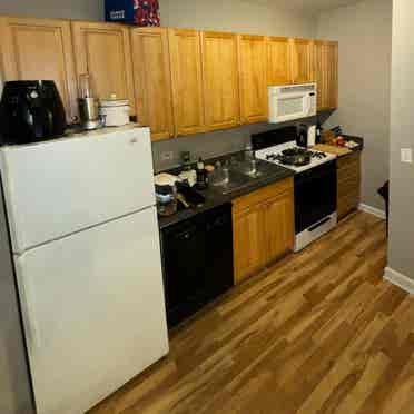 Sub-leasing 1-bedroom Wrigleyville