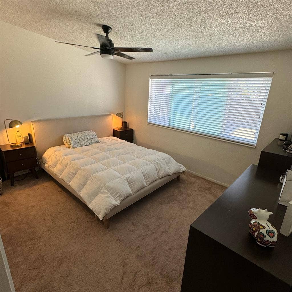 Renting room to CBU student