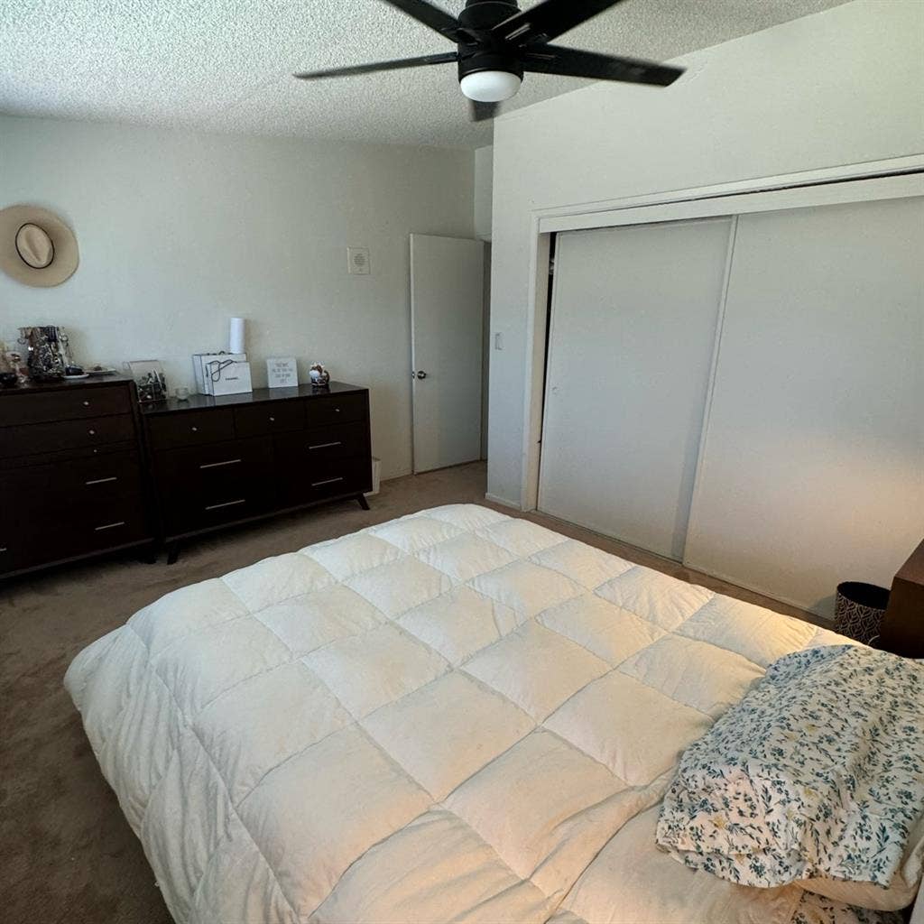 Renting room to CBU student