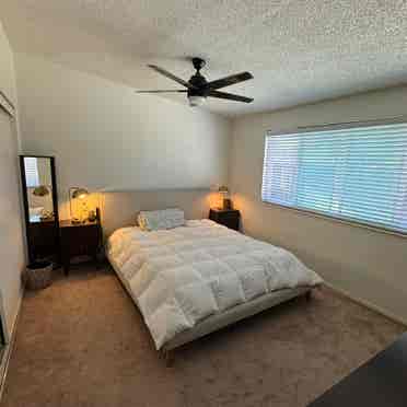 Renting room to CBU student