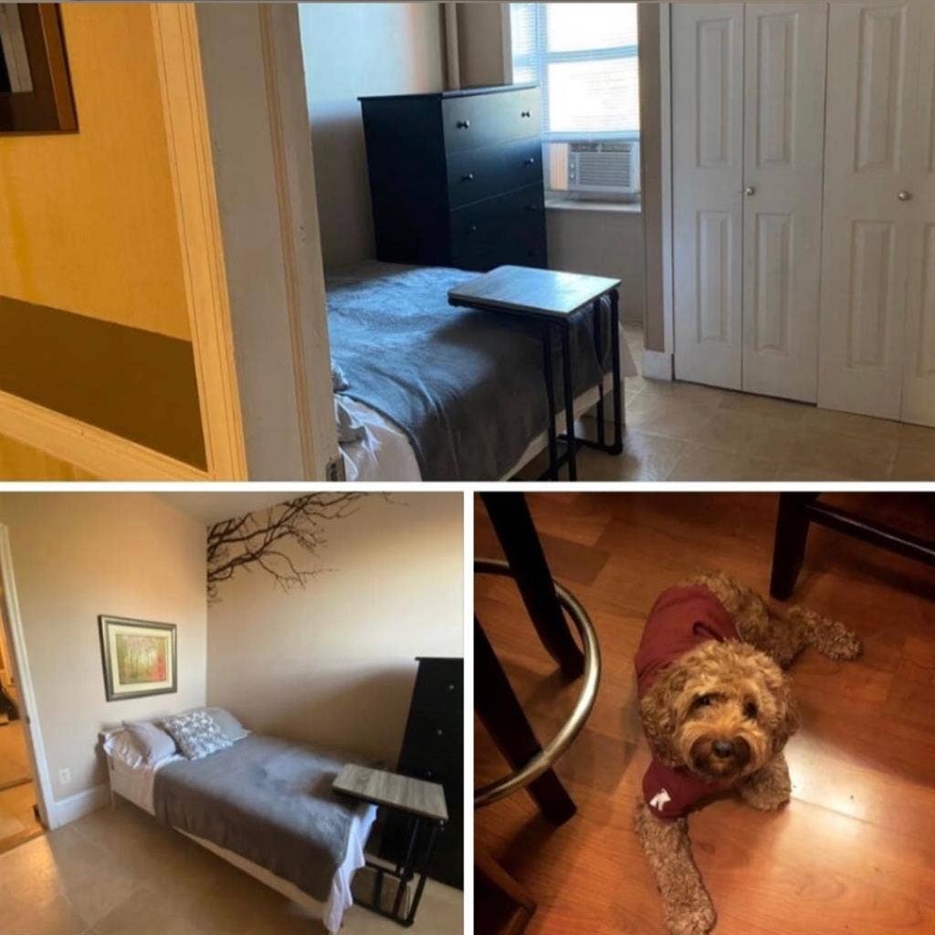 South Bronx room for rent by Dec1st