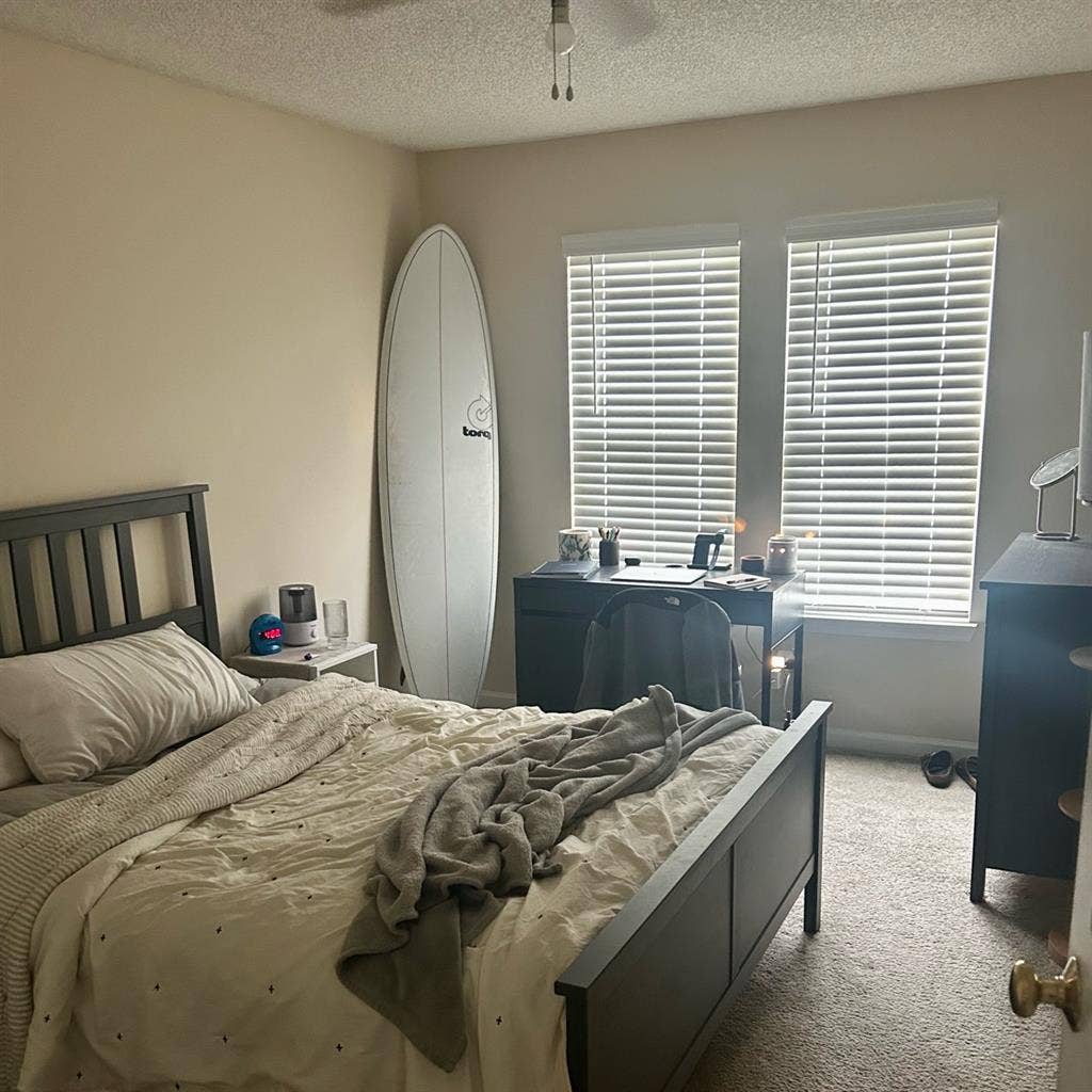 Roommate Needed!