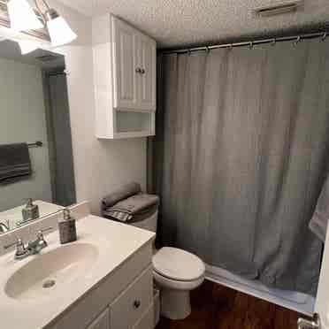 Studio Apartment, Heart of Austin