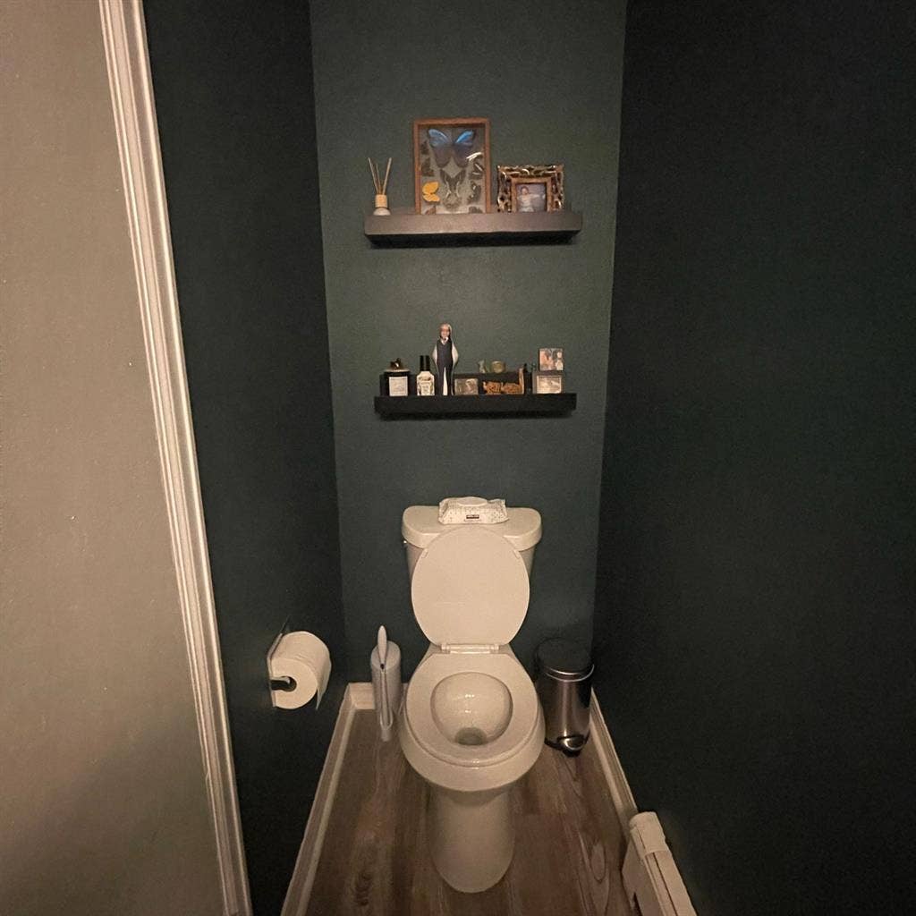 Roommate needed asap!