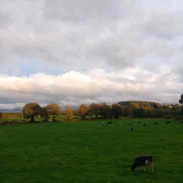 Idyllic Farm near Bawnboy, Co Cavan