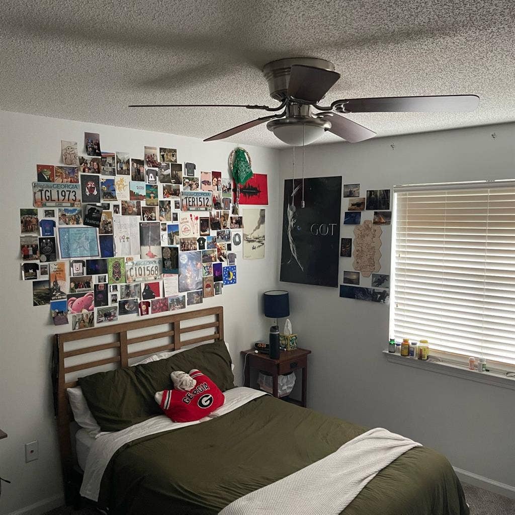 Roommate Needed!