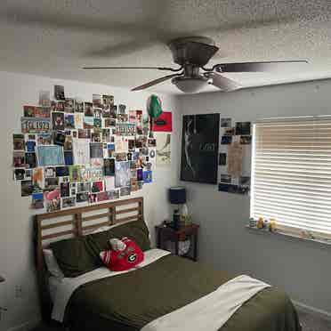 Roommate Needed!