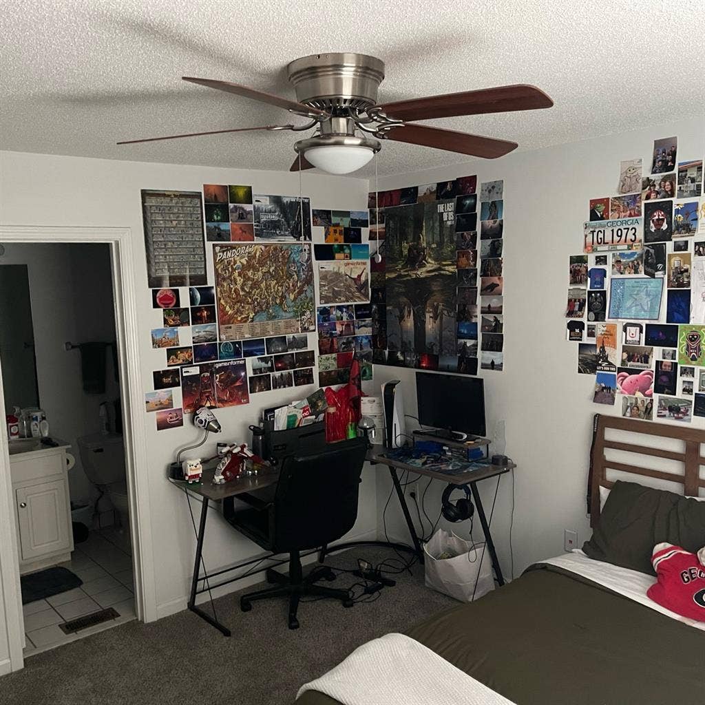 Roommate Needed!