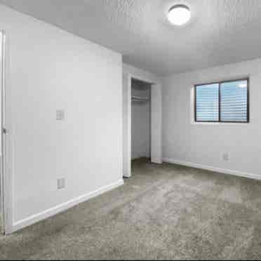 Spacious Room for Rent!