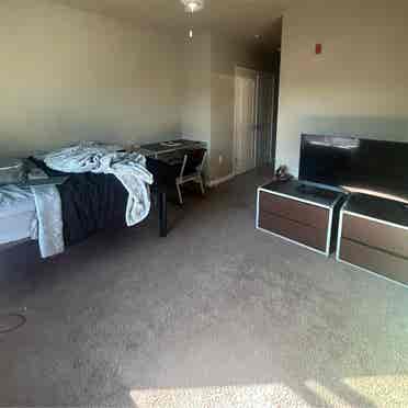 rooms open for sublease