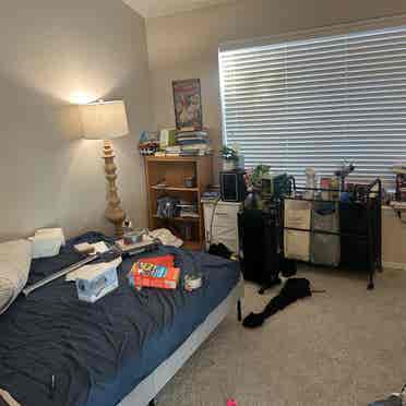 Looking for a Roomate for a B