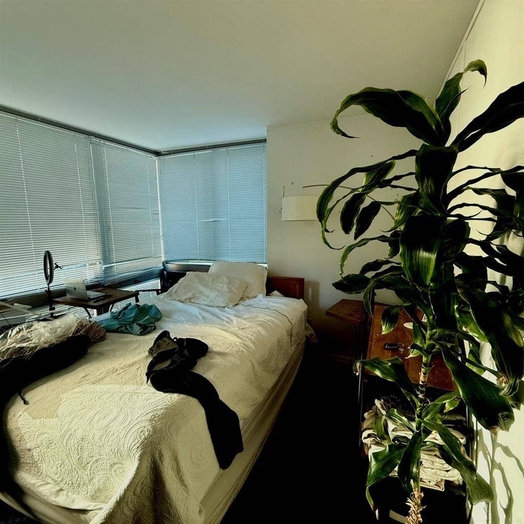 Room Available in Luxury Apartment