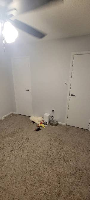 1 room for rent