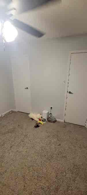 1 room for rent