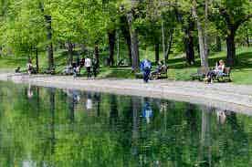 Large appartement Parc Lafontaine