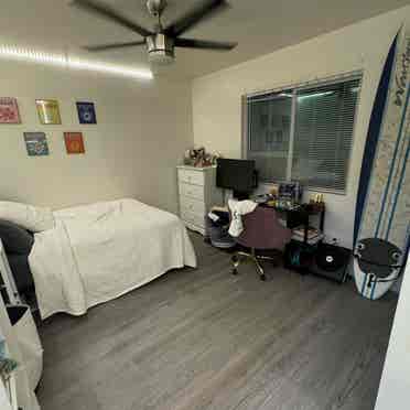 SPRING SEMESTER SUBLEASE NEEDED