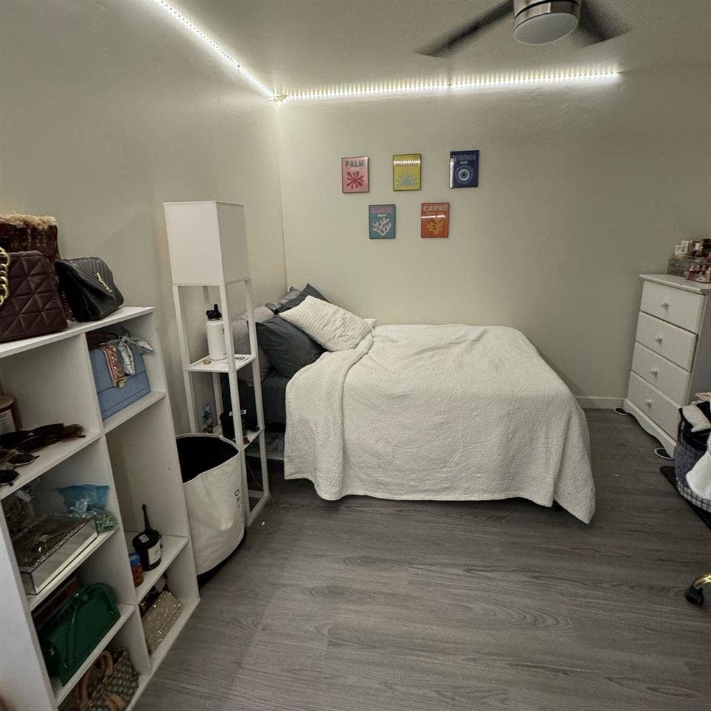 SPRING SEMESTER SUBLEASE NEEDED