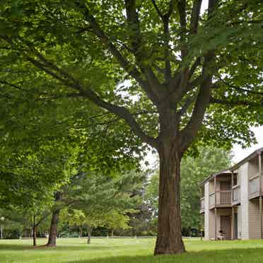 sublease my one-bedroom