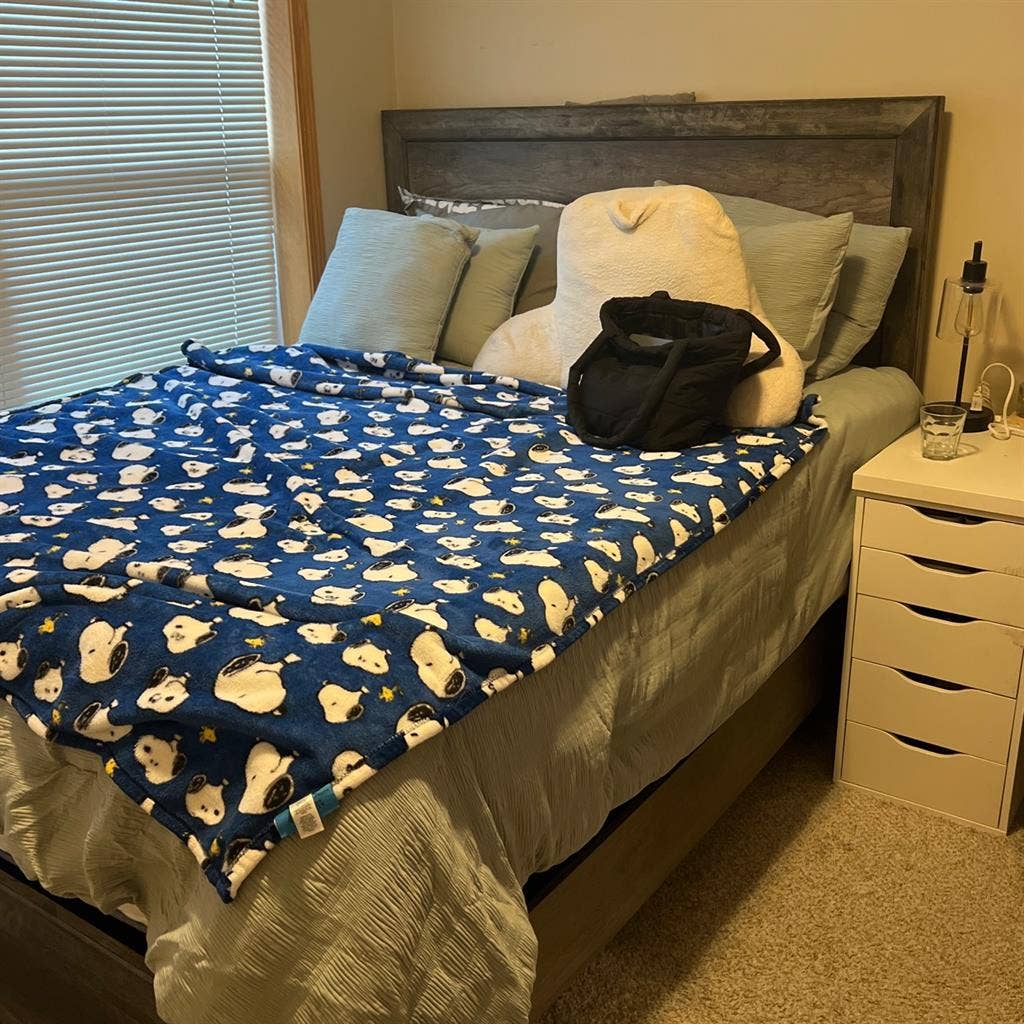 Roommate Wanted!