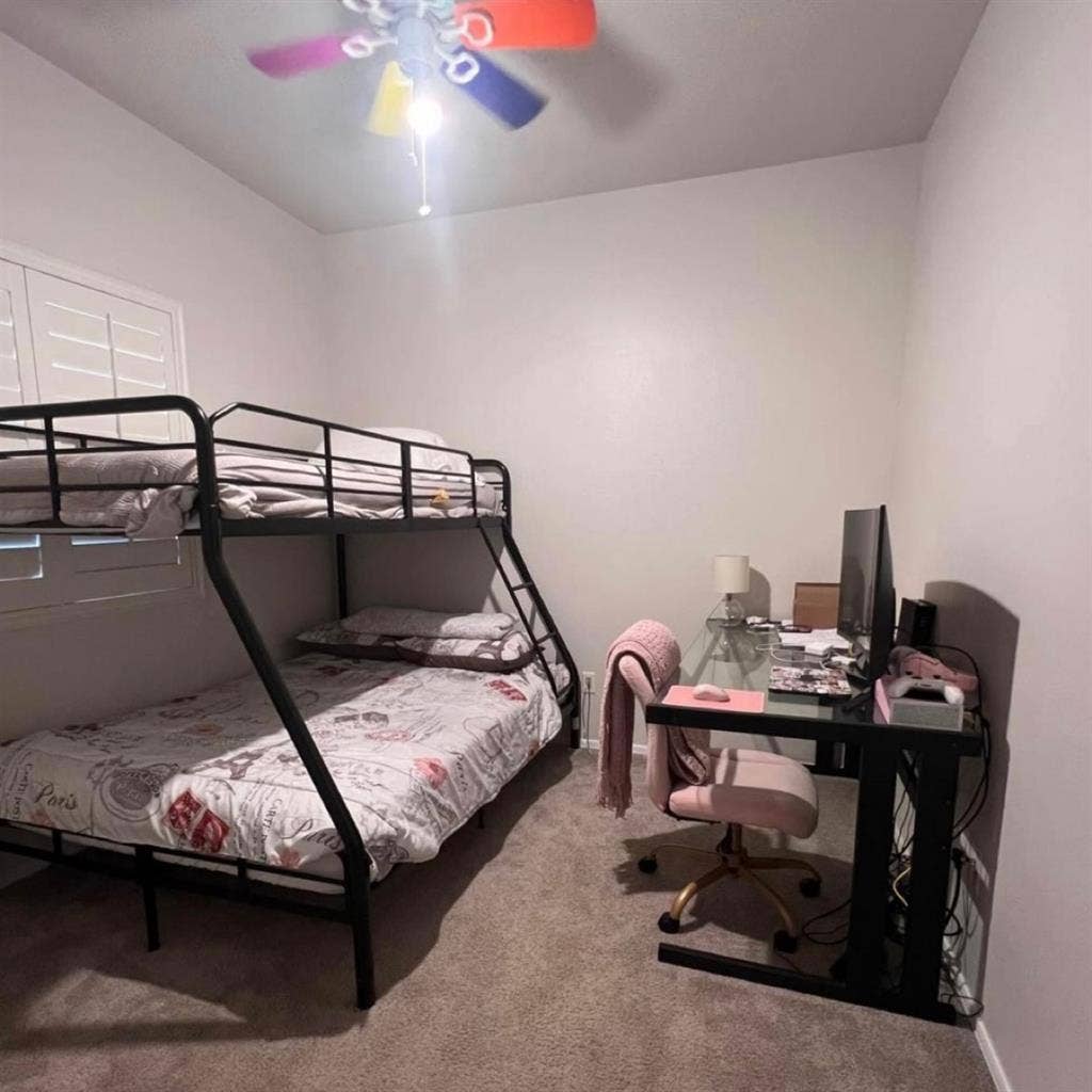 Roommate needed