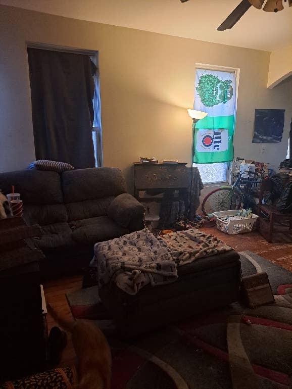 Looking for roommate