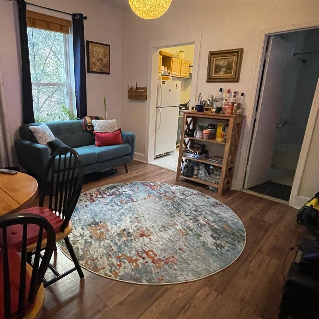 Bedstuy Room Available