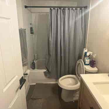 Room/Bathroom in Seminole Heights