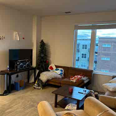 Looking for a sublease