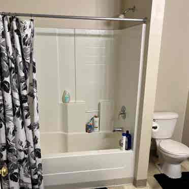 Room For Rent in Spring Hill