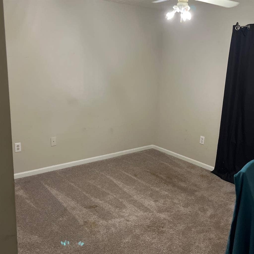 Room For Rent in Spring Hill