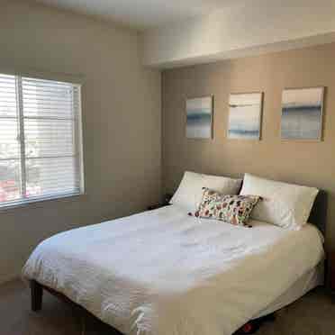 Amazing room in a B Eastlake