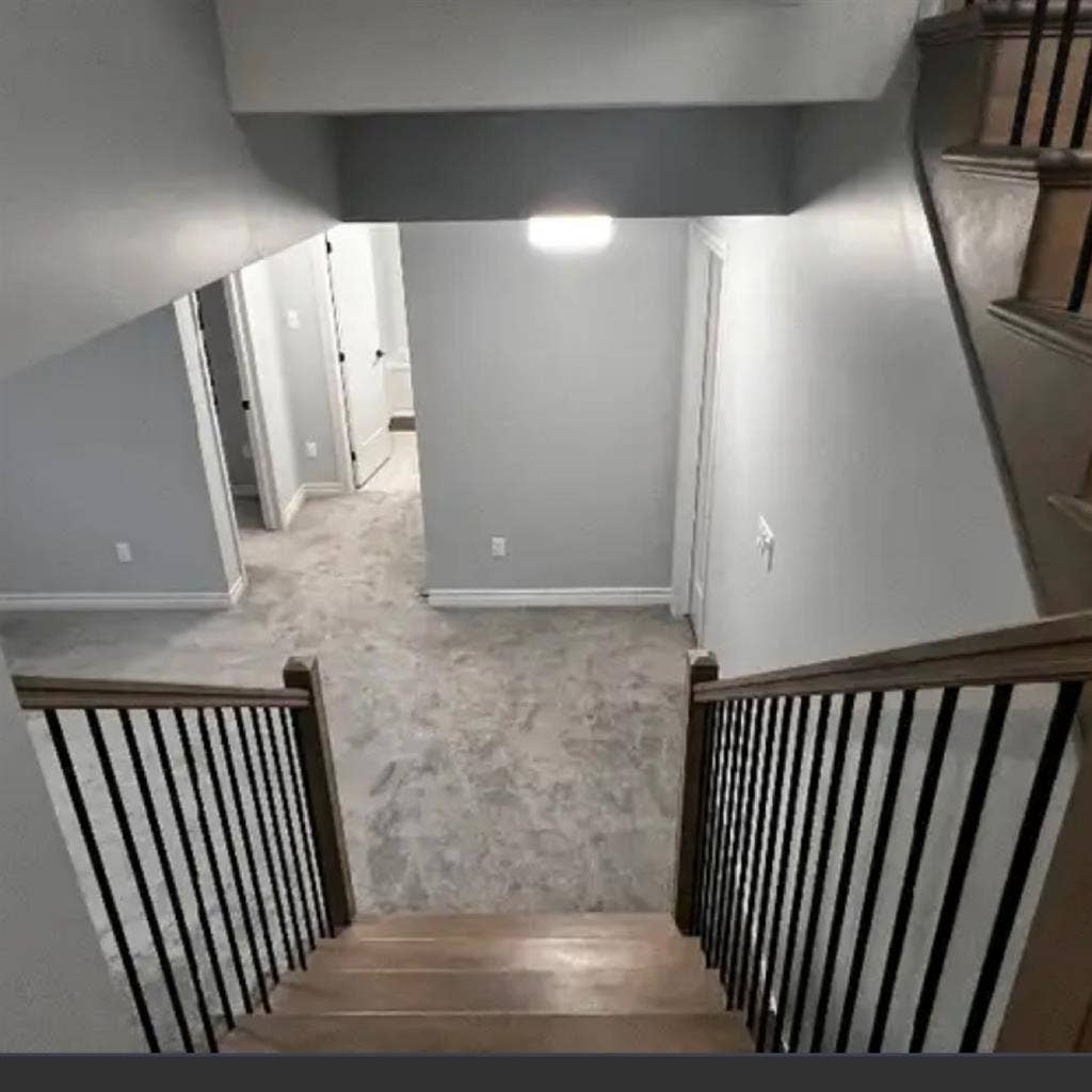 Basement for rent or a room