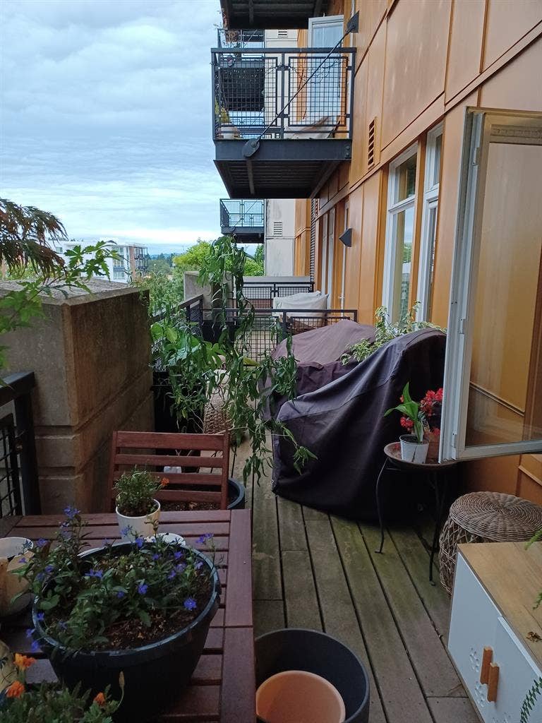 Downtown Burien Condo