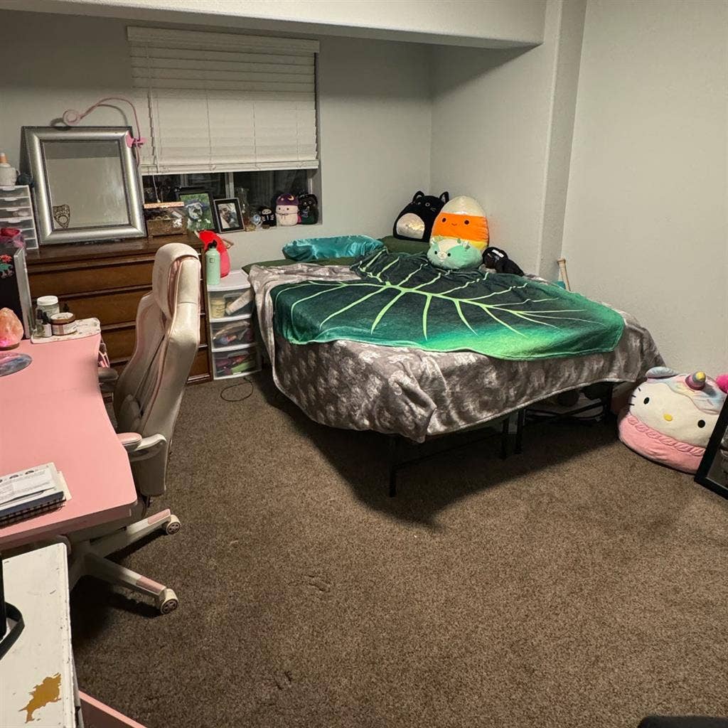 Private basement room for rent