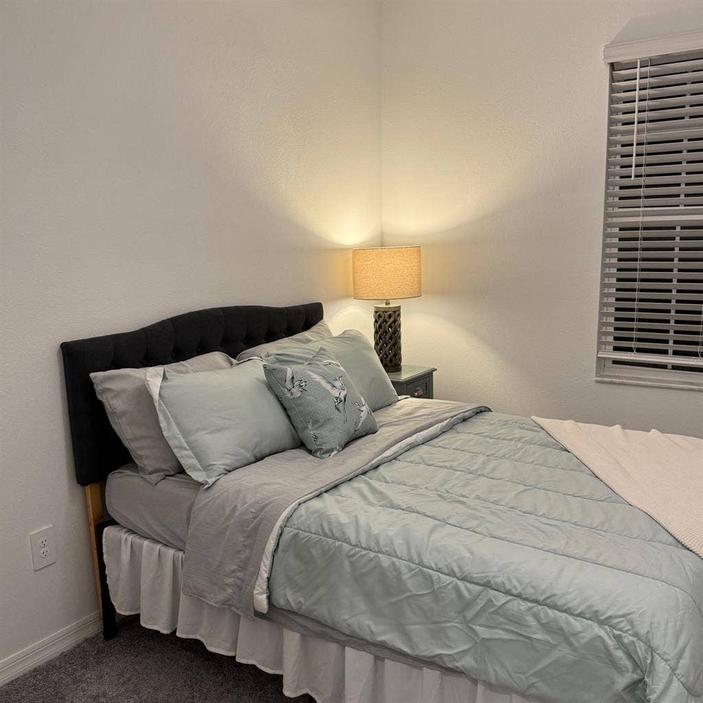 New Tampa Furnished Room + extras!