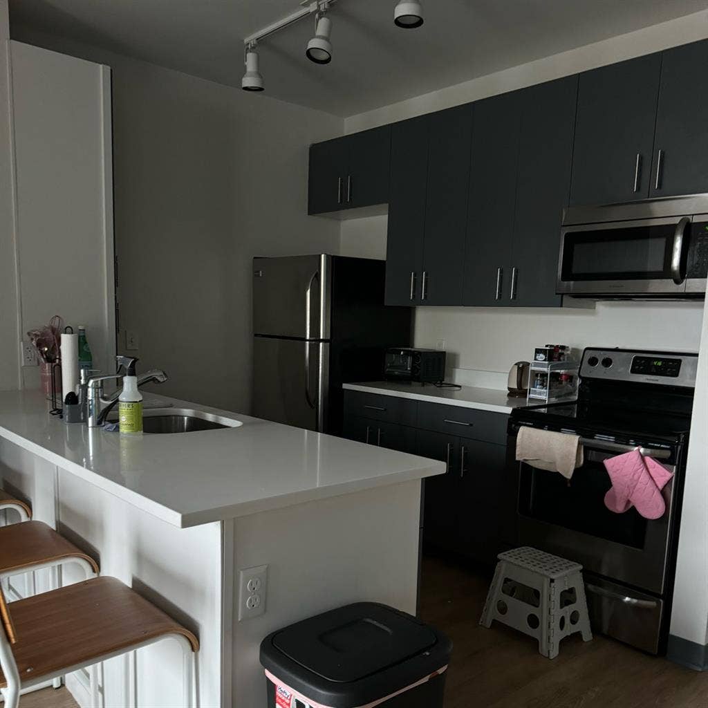 Summer  sublet: Lark on Main