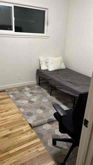 Looking for a roommate 