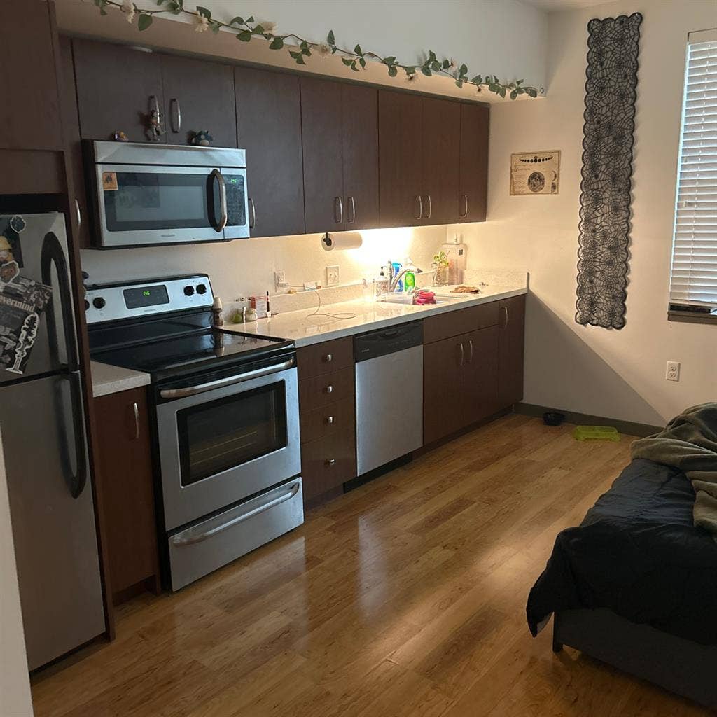 looking for roomie for studio