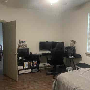 Roommate needed in Windermere