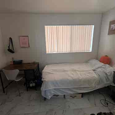 Shared room available