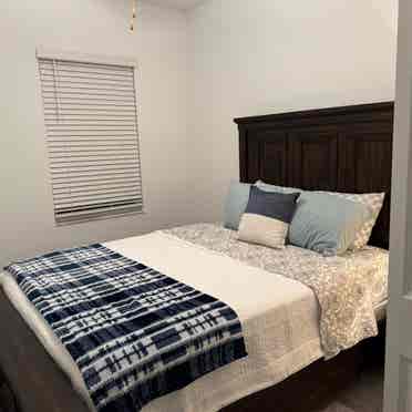 New Tampa Furnished Room + extras