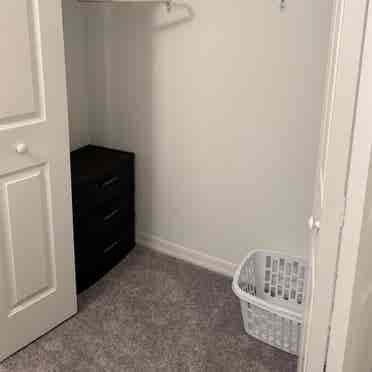 New Tampa Furnished Room + extras