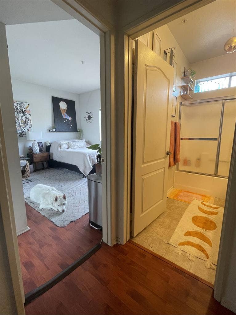 MASTER BEDROOM W/ BR & WALK IN CLOS